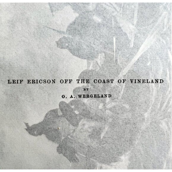 Norse Viking Leif Ericson Coast Of Vineland Photo Gravure Victorian 1894 DWS11 - Picture 3 of 3